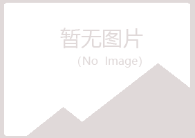 青海字迹咨询有限公司